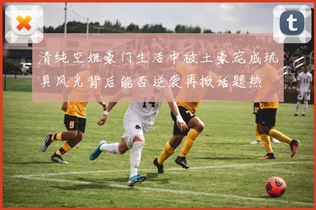 清纯空姐豪门生活中被土豪宠成玩具风光背后能否逆袭再掀话题热