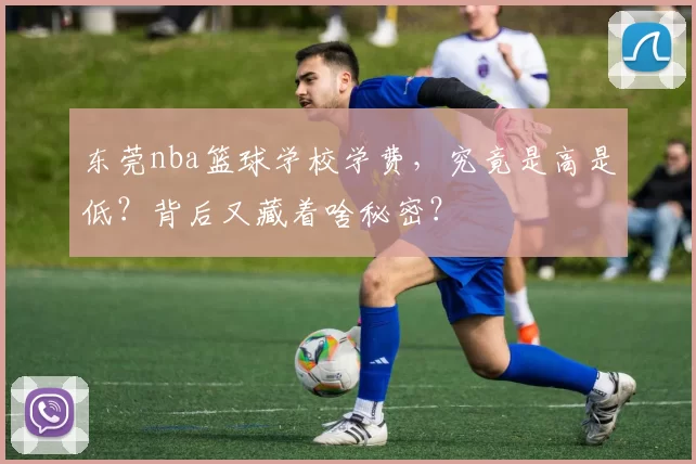 东莞nba篮球学校学费，究竟是高是低？背后又藏着啥秘密？