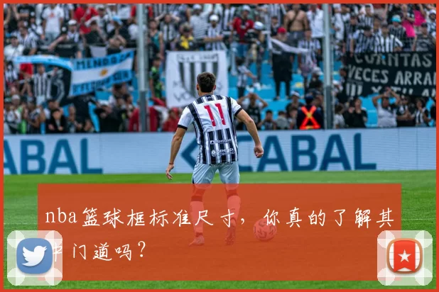 nba篮球框标准尺寸，你真的了解其中门道吗？